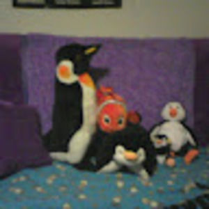 Meet your Posher, Heather